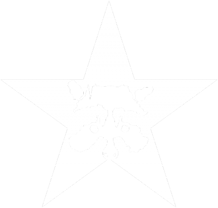 Raccoon Star - Koszulka