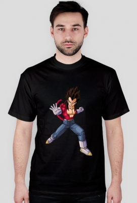 Dragon Ball - Polish Shore