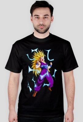 Dragon Ball - Polish Shore