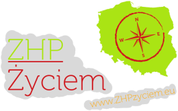 Koszulka dzieięca logo