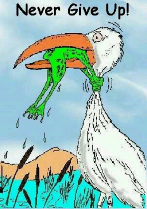 nie poddawaj się kubek