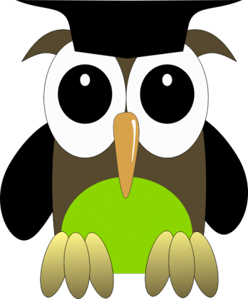 Koszulka dla dziecka - Sówka