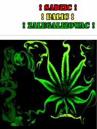 Palić, Sadzić, Zalegalizować !