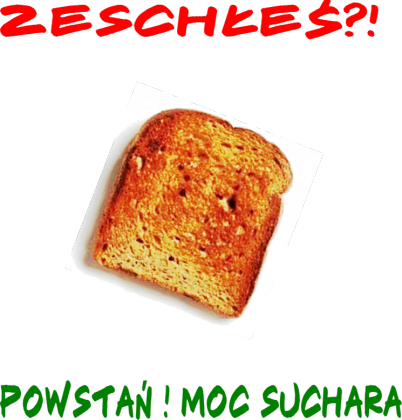 Koszulka Suchar - " Zeschłeś?! "