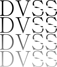 DVSS #1