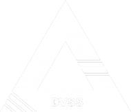 DVSS #3