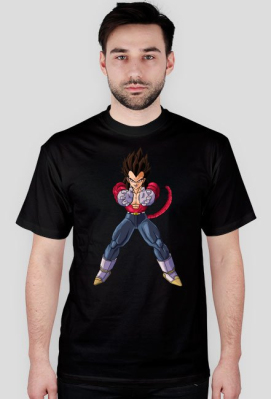 Dragon Ball Vegieta SSJ4 - L33T.