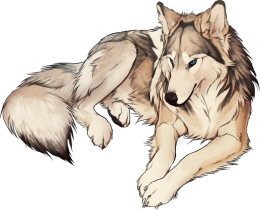 Wilk