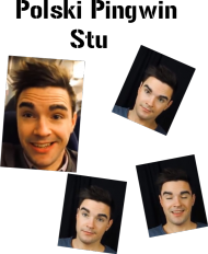 PolskiPingwin-Kubek
