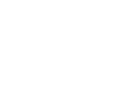 Bez Koszulki