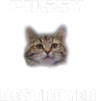 Pussy Destroyer