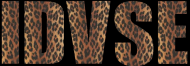 Bluza INDIVISIBLE "IDVSE Leopard"
