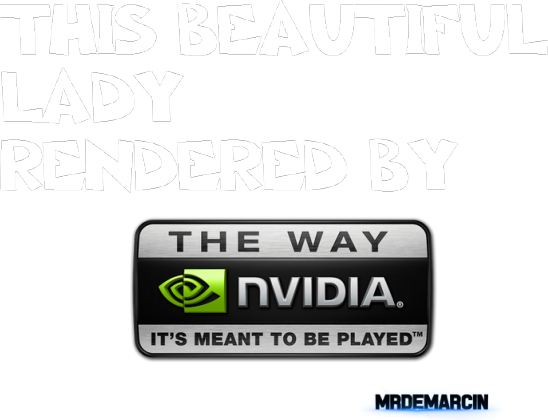 KOSZULKA NVIDIA W