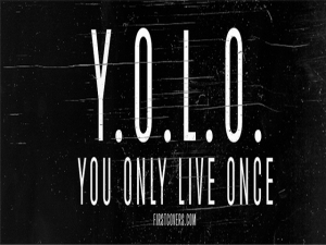 Yolo 2 - nadruk