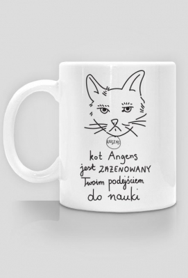 Kubek - ZAŻENOWANY KOT ANGENS - Miłości nie ma, jest matematyka. | Matematyczne prezenty, prezent dla matematyka
