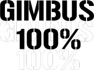 Koszulka GIMBUS 100%