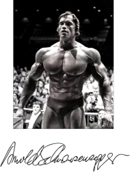 Arnold Schwarzenegger the legend