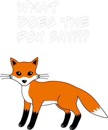 What does the fox say?? bluza
