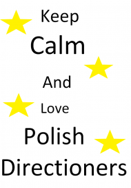 Koszulka z napisem ,, Keep Calm And Love Polish Directioners ''