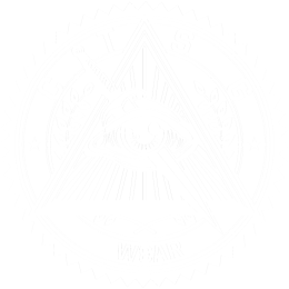CTSG Wear (dziecięca)