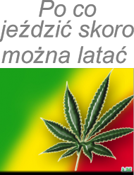 Po co jeździć?