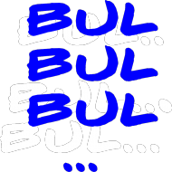 Bul bul bul - bluza