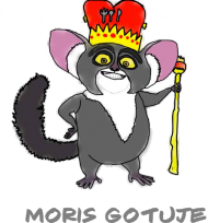 Kubek - MORIS GOTUJE