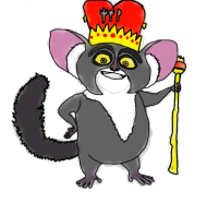 Kubek - MORIS GOTUJE