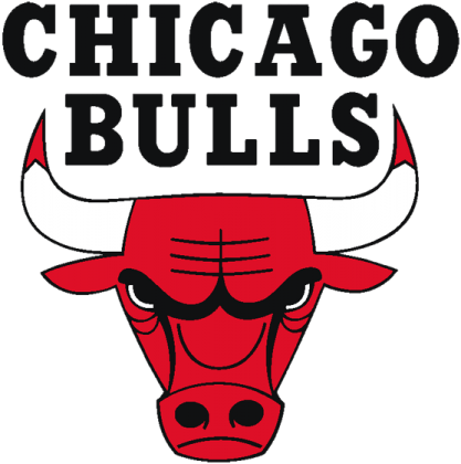 chicago bulls cup
