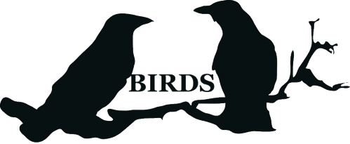 Misio Birds