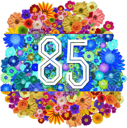 Rocznik 85