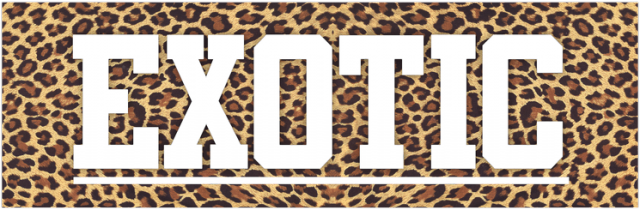 EXOTIC