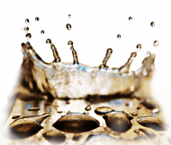 Koszulka z kroplami women