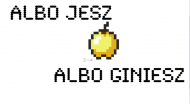 Minecraftowa Koszulka GOLDEN APPLE !