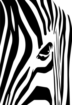 zebra projekt