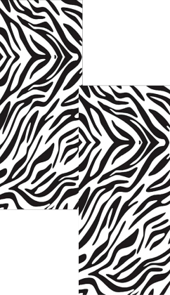 zebra projekt