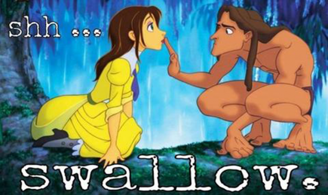 Swallow
