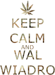 T-Shirt Keep Calm And Wal Wiadro Special