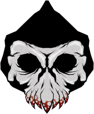 Koszulka damska skull czaszka
