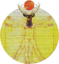 Jeleń (bluza)