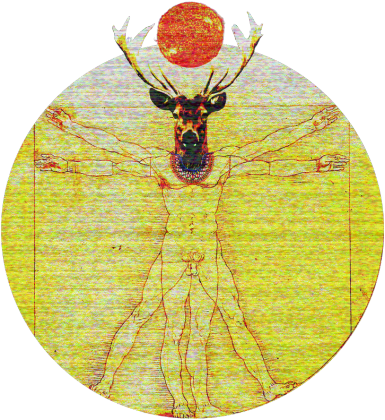 Jeleń (bluza)