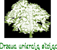 Drzewa umierają stojąc