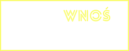 Kreatywność wnoś - męska bluza z kapturem