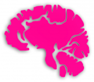 Duży mózg różowy
