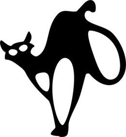 Koszulka "cat"