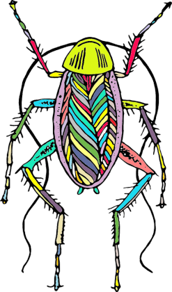 Koszulka" Karaluch"