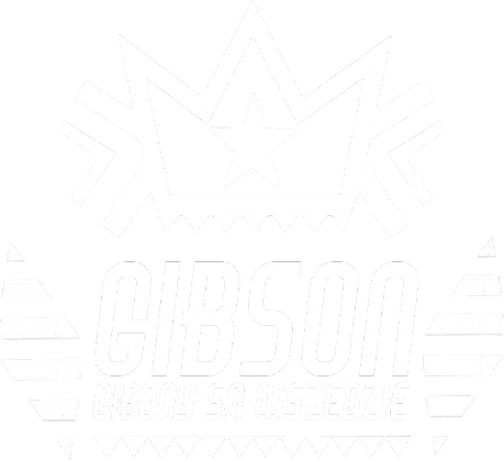 Gibony są wszędzie! v.1 ~ T-shirt czarny D-Kids