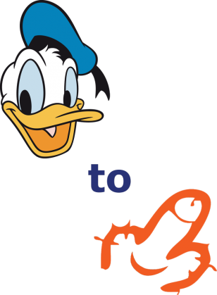 Donald to :-) RÓŻNE KOLORY MĘSKA