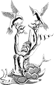 Żółw