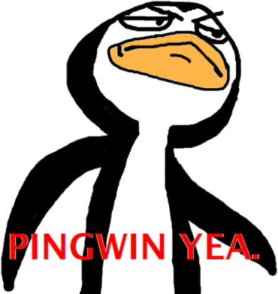 T-shirt z pingwinem :)